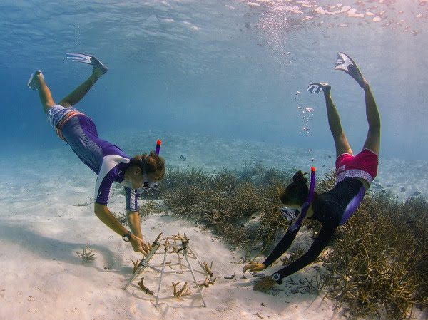 Maldives’ Anantara: Celebrating World Oceans Day