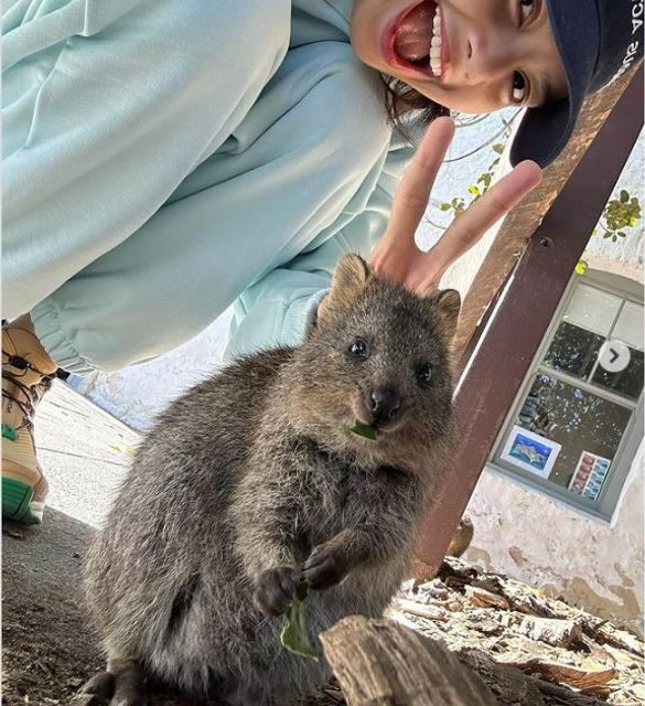 K-Pop Superstar Breaks Quokka Selfie Record!