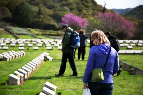 Last Chance: Anzac 2024 Tours by Mat McLachlan!