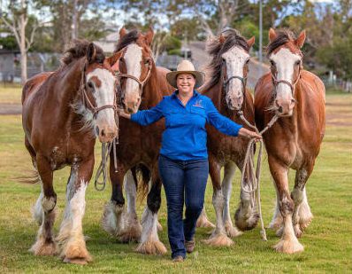 Celebrate Clydesdales: It’s Clydie Time This Weekend!