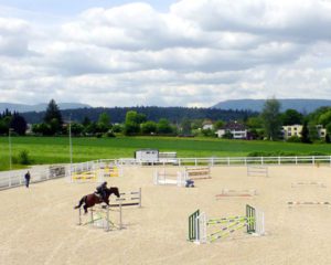 riding lesson at Meilenstein's equestrian centre