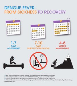 Dengue fever: from sickness to recovery