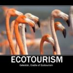 Cradle of Ecotourism