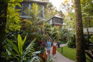 Daintree Eco Lodge