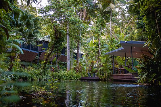 Intrepid’s $5M Daintree Buy Changes the Game in Eco-Tourism!