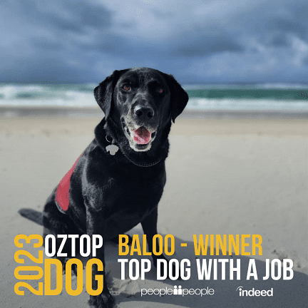 2023 #OZTOPDOG Competition Winners Revealed!