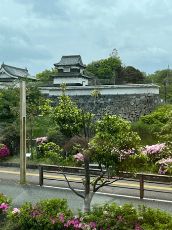 Fukuoka: The Ultimate Base!