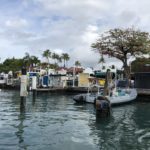 Lahaina, Hawaii before this week's fires.