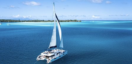 Majestic Whale Encounters introduces new and improved tours  for its 10-year anniversary