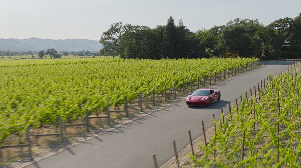 Four Seasons Napa Valley: Fall Drive Experience Unveiled