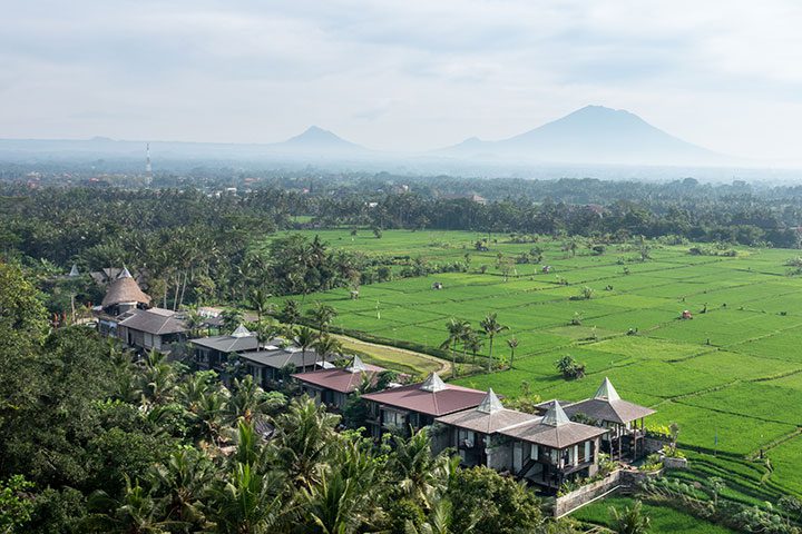 Ubud’s Gdas Resort: Dive into Holistic Healing Bliss