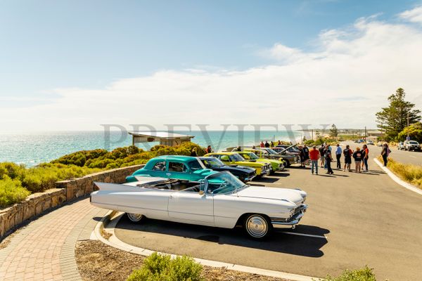 Scenic Drives: Mclaren Vale & Fleurieu Coast Beauty