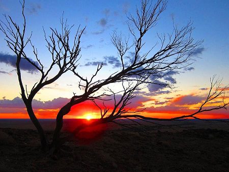 Big Savings on NSW Outback Stays: Out of the Ordinary Turns 10