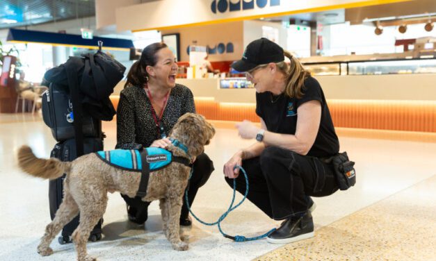 Springing into school holidays with tourism surge