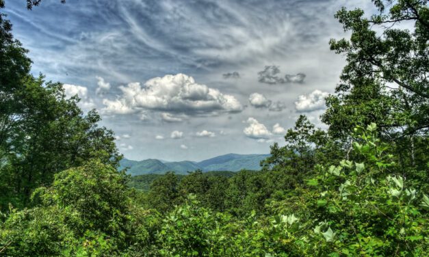 Tennessee Awaits: Top Adventures for Your Bucket List!