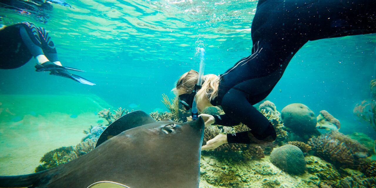 Daydream Island Unveils New Guided Snorkel Tour in Living Reef!