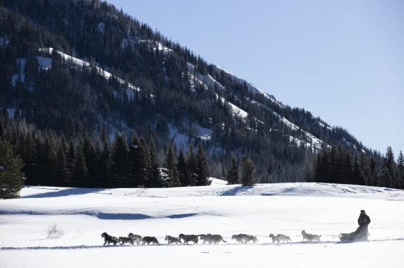 Wyoming Winter: The Ultimate Adventure in Cowboy Country!