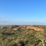 Luxury Meets Conservation: andBeyond & Giants Team in Kenya!