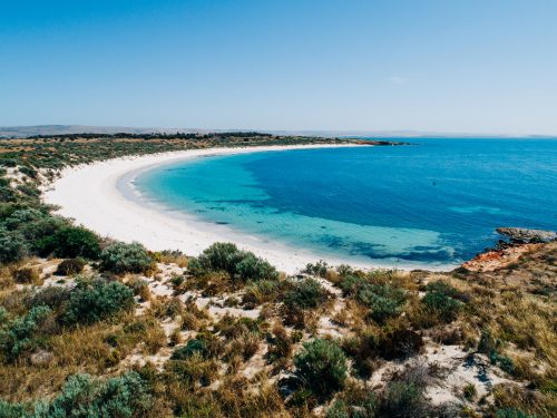 Rumi Reveal: South Australia’s First Eco Island Utopia!