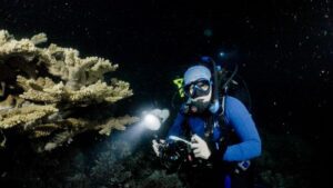 2023 Abbi Scott watching coral spawning 2.11.23Credit Calypso Productions