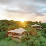 Kenya’s Mara Bushtops Launches Innovative Wildlife Cam