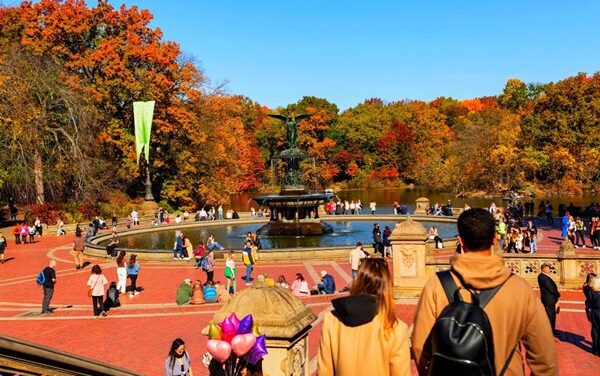NYC Autumn Delight: Explore for Under $10!
