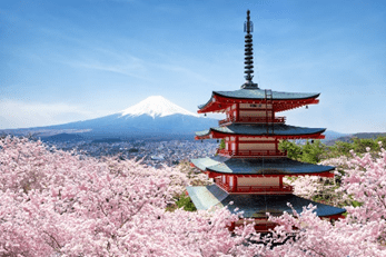 Wendy Wu Introduces New ‘Best of Japan’ Tour …With A Cherry (Blossom) On Top… For Selected Dates in Spring 2024