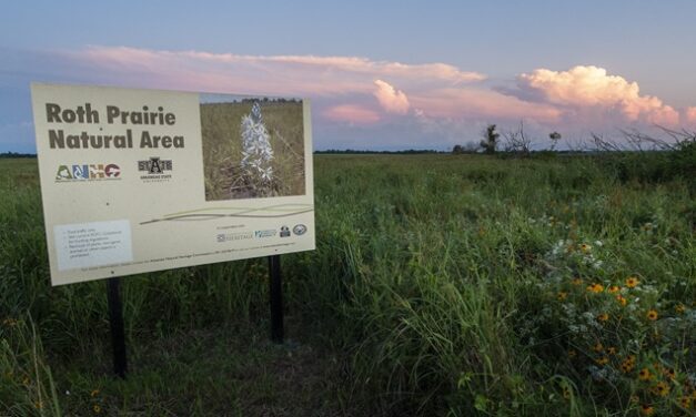 The Arkansas Natural Heritage Commission celebrates 50 years