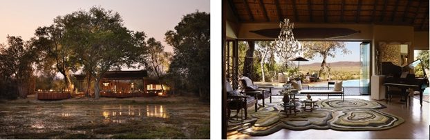 Epic African Safari Adventure Unveiled by Molori