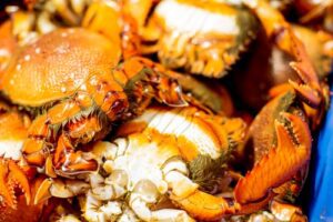 Sydney Fish Markets. 14/8/2016.Photo James Horan