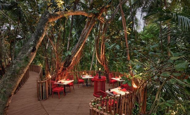 Nest Reopens at Niyama: Maldives’ Jungle Dining Is Back!