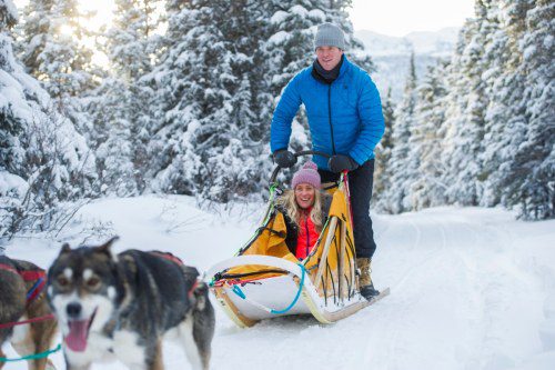 Sled Dogs Gear Up for Global Winter Race!