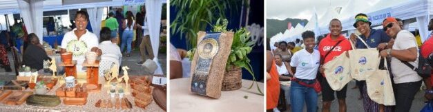 2024 Blue Mountain Coffee Festival: Culture, Flavor & Fun!