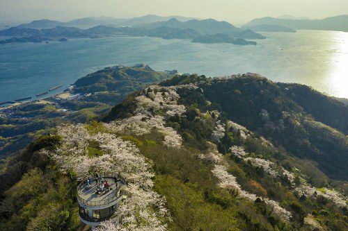 Discover Kamijima: Japan’s Island Wonderland!
