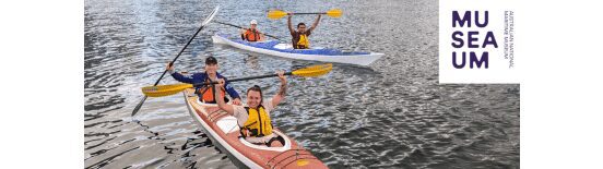 Harbour Kayak Tours Unveil Indigenous Stories