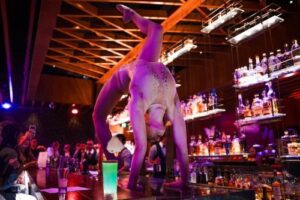 Grain Bar Is Reborn as Sydney's New Unmissable Cocktail Bar Experience