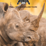 Bench Africa & Nomad Africa: Overland Tours Brochure Launch