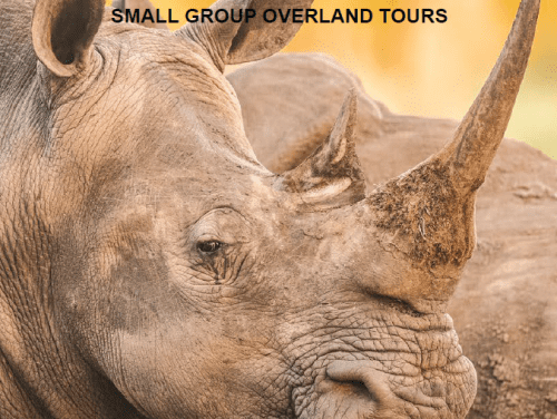 Bench Africa & Nomad Africa: Overland Tours Brochure Launch