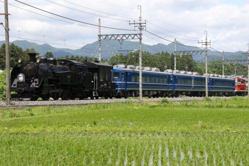 SL-Taiju-Passing-Rice-Fields