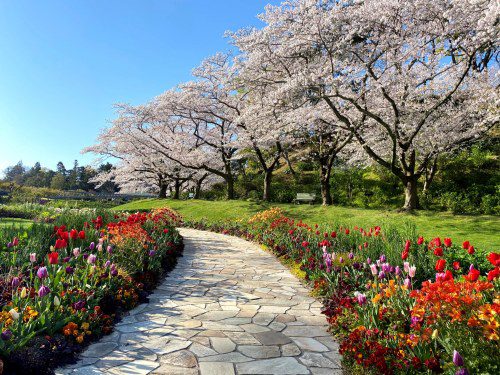 Hamanako Flower Expo 2024: Nature, Tech & Culture!
