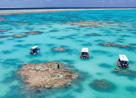 Qantas $10M Pledge for Reef Restoration!