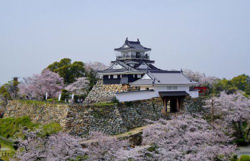 Discover Hamamatsu: Home of Fine Japanese Sake!