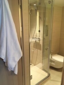 Viking Venus StateRoom bathroom