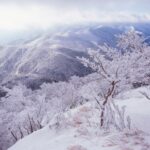 Winter in Nara Prefecture. Image by JNTO