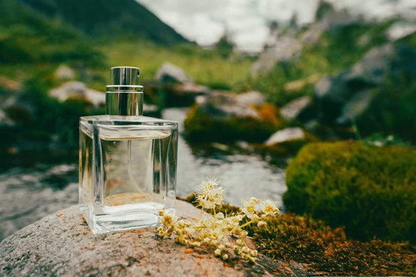 Health and Wellness Benefits of Plant-Based Men Perfume Products
