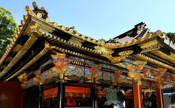 Dive Into Shogun Culture in Shizuoka!