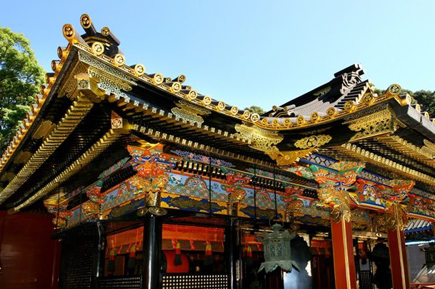 Dive Into Shogun Culture in Shizuoka!