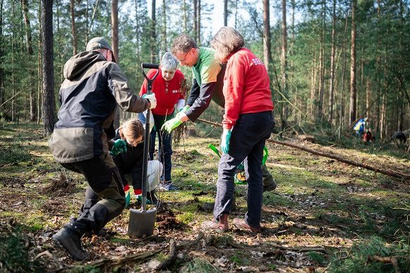 Blankenfelde-Mahlow Revitalizes Forest Sustainably!