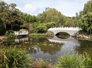 Bundaberg Botanic Garden Chinese garden