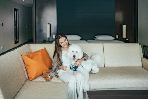 Wellness Retreat: Hyatt Regency Hakone with Your Canine!
